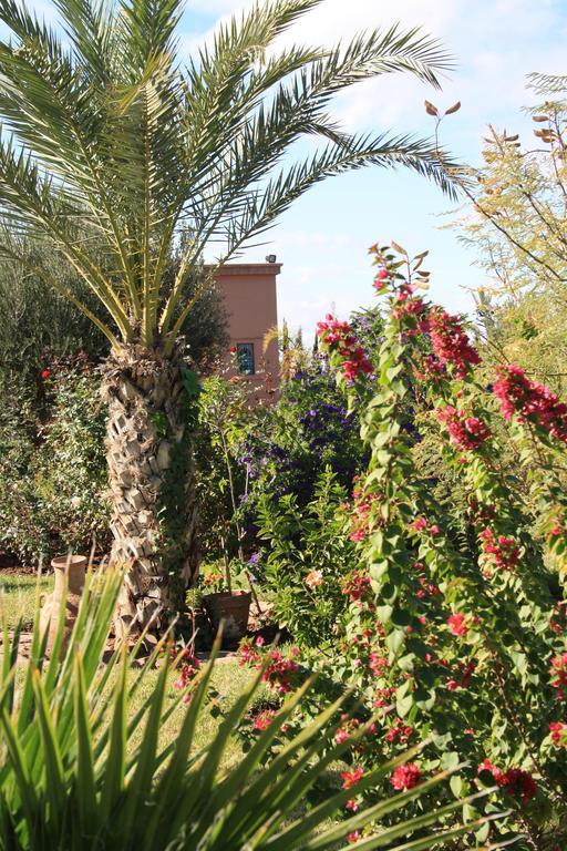 Ouled Jelal Terra Mia Marrakech B&B 외부 사진